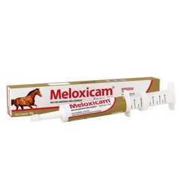 Meloxicam Equinos Gel Vetnil, Anti-inflamatório 35 Gramas