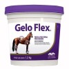 Gelo Flex Pasta A Frio Tópica Para Equinos Cavalos 1,2kg